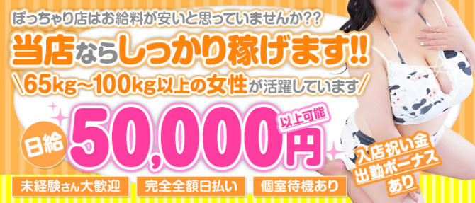 ファンキーミルキーベイベーのぽっちゃり求人画像