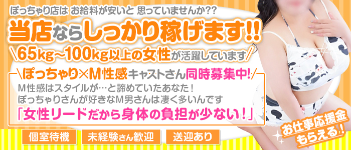 ファンキーミルキーベイベーのぽっちゃり求人画像
