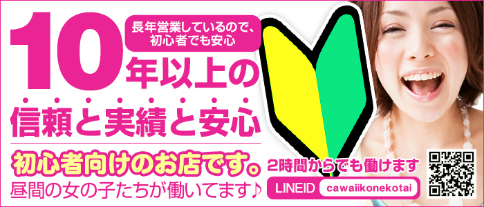 Cawaii Konekotai~かわいい子猫隊~