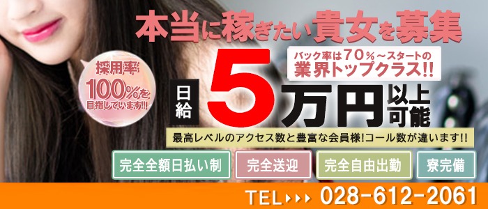 熟女の風俗最終章 宇都宮店の求人情報