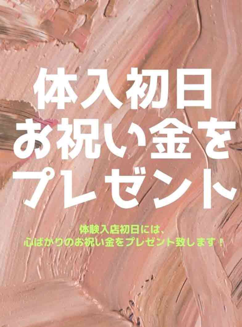 熟女の風俗最終章 宇都宮店の給与画像1