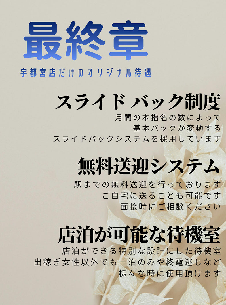 熟女の風俗最終章 宇都宮店の待遇画像2