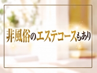 Vanilla SPAで働くメリット5