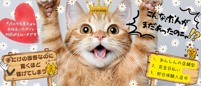 ビデオdeはんど町田校(アクセスグループ)の求人画像