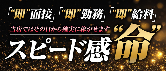 VIO 紙ビキニ専門店の体験入店求人画像