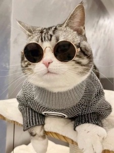 当店が長く続いている理由のアイキャッチ画像