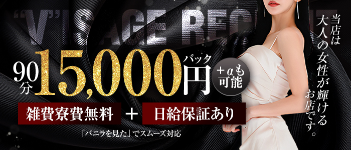 &rdquo;V&rdquo;ISAGEの体験入店求人画像