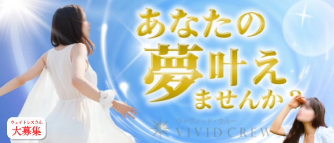 VIVID CREWマダムセカンドヴァージンの求人画像