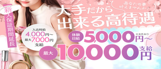 VIVID CREWマダムセカンドヴァージン