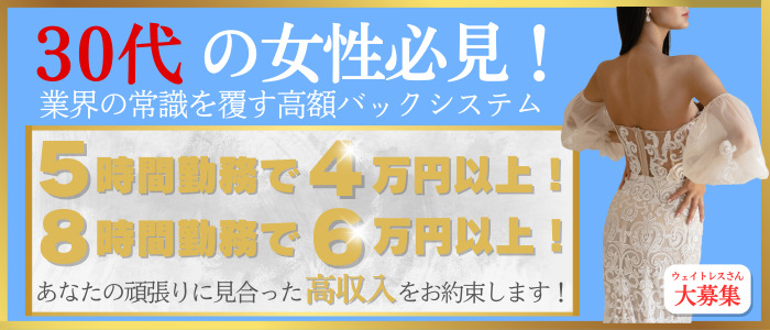 VIVID CREWマダムセカンドヴァージンの未経験求人画像