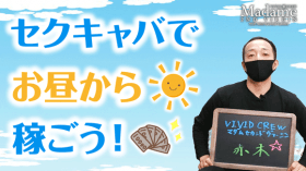 VIVID CREWマダムセカンドヴァージンのスタッフによるお仕事紹介動画