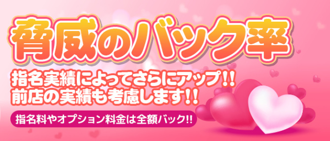 新ぽちゃっこメイド隊のぽっちゃり求人画像