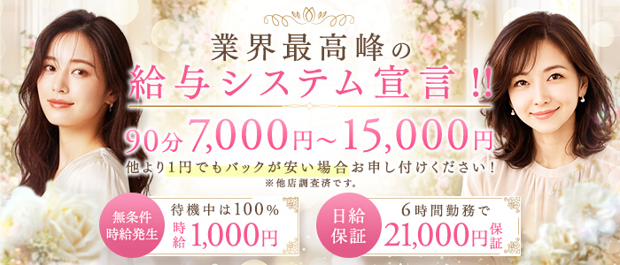 若妻と熟女の時間の求人画像