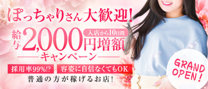 若草物語のぽっちゃり求人画像