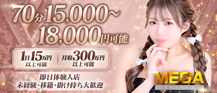 MEGA PALACE（メガパレス）