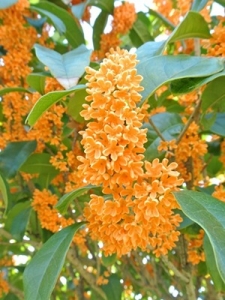 初日のアイキャッチ画像