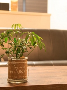 バッサリいくよ！のアイキャッチ画像