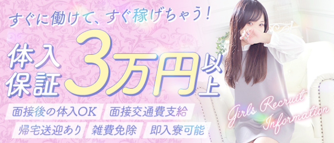 WASUreNA勿忘のぽっちゃり求人画像