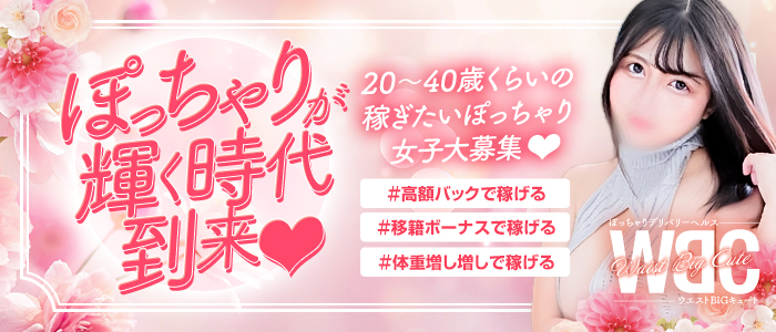 WBC～ウエストBIGキュート～の求人画像