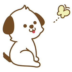 その日に体験その日にお給料のアイキャッチ画像