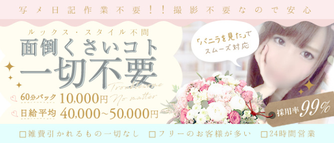 WHITEαのぽっちゃり求人画像