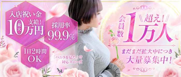 White love （ホワイトラブ）の求人情報
