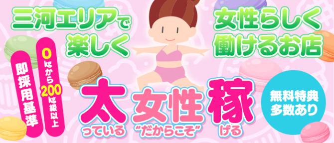 wizardのぽっちゃり求人画像