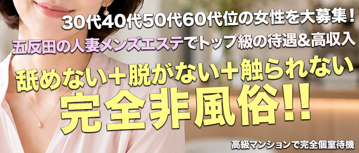 聖なる人妻の求人画像