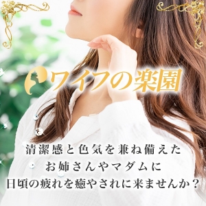 Q&Aシリーズ　とりあえず話を聞きたいのアイキャッチ画像