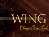 Wing（ウイング）で働くメリット2