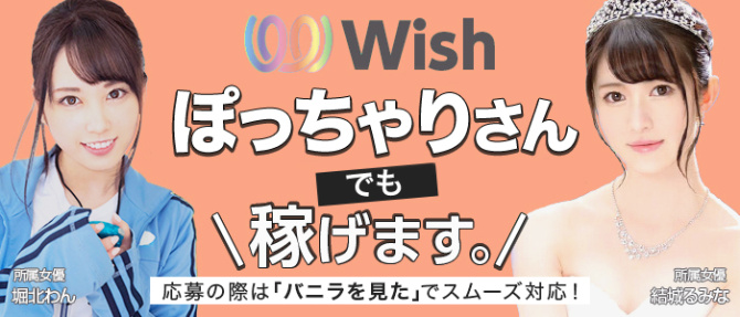 Wishのぽっちゃり求人画像