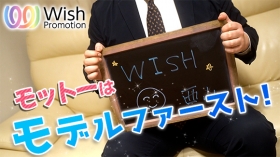 Wishのスタッフによるお仕事紹介動画