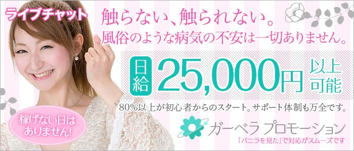 ガーベラプロモーション