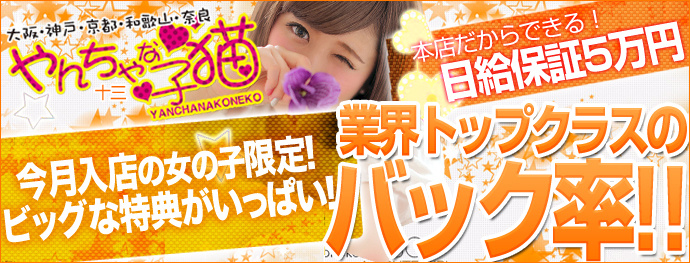やんちゃな子猫 十三
