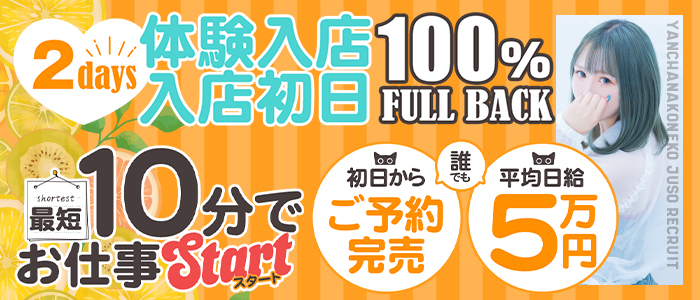 やんちゃな子猫 十三