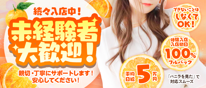 やんちゃな子猫 十三