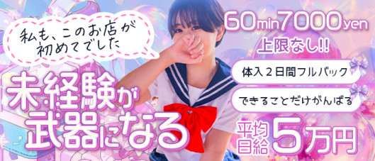 やんちゃな子猫 十三
