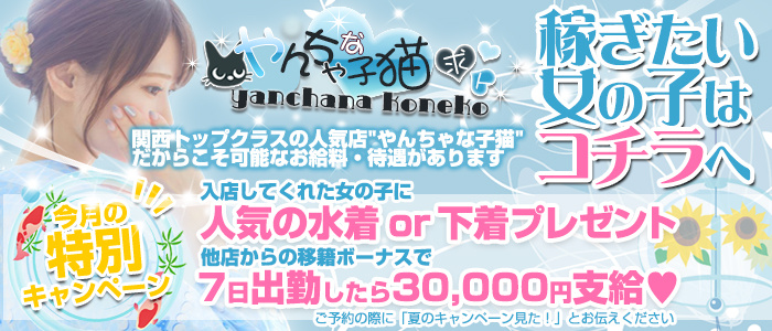 やんちゃな子猫 神戸元町店