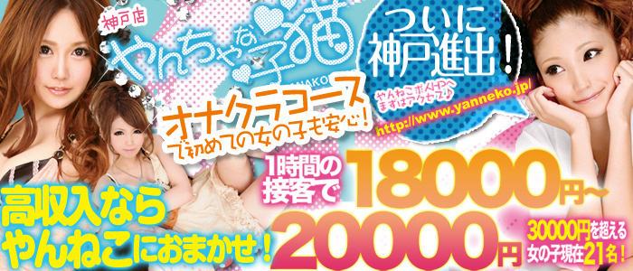 やんちゃな子猫 神戸元町店