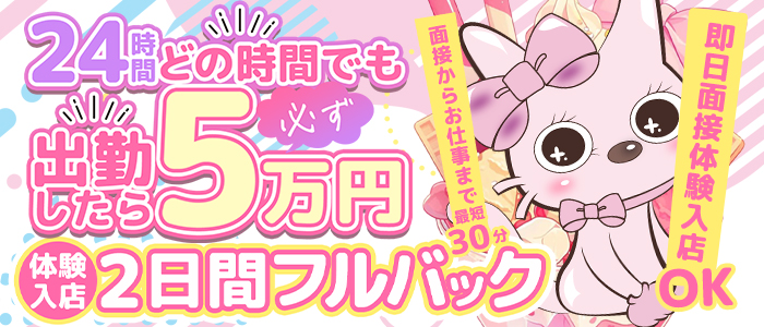 やんちゃな子猫日本橋本店の求人画像