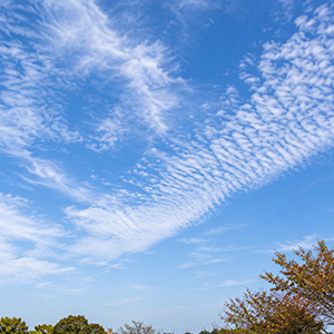 秋が来てる気がする！！のアイキャッチ画像