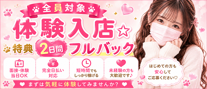 やんちゃな子猫梅田兎我野店の求人画像