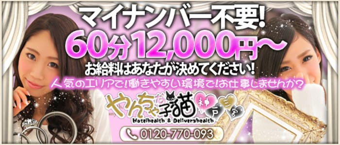 やんちゃな子猫神戸三宮店