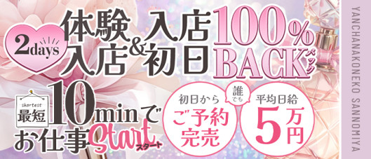 やんちゃな子猫神戸三宮店