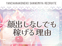 やんちゃな子猫神戸三宮店で働くメリット6