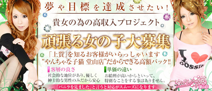 やんちゃな子猫 堂山店