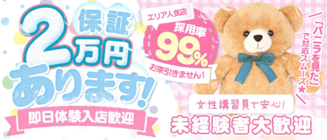 コレクションのぽっちゃり求人画像