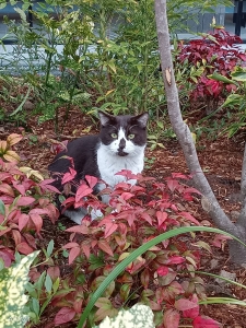 ワクワクもしますね♪のアイキャッチ画像