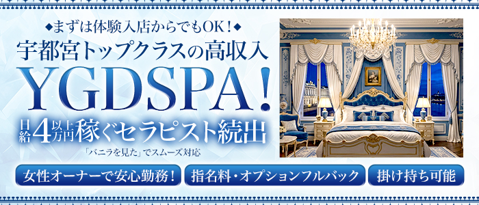 YGDSPAの求人画像