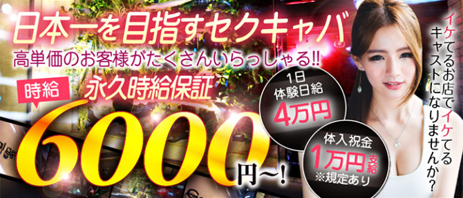 ギャルゲッチュ 横浜店のぽっちゃり求人画像